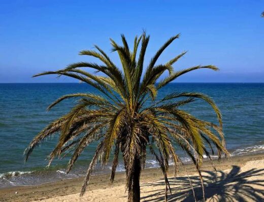 Nea Triglia beach