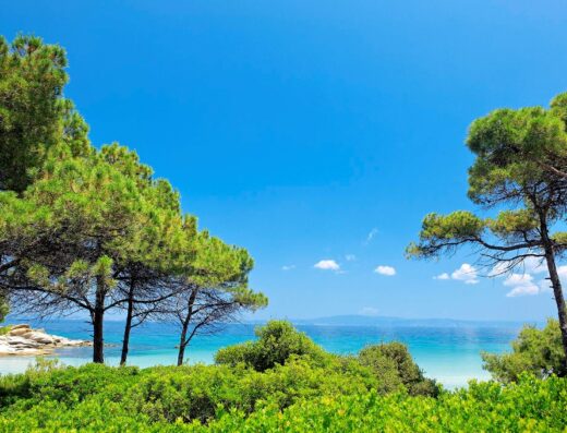 Kavourotrypes beach