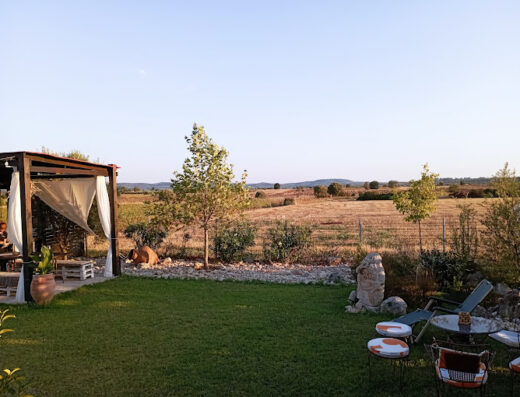 Protected: Wine tasting in Athitos (Afitos)