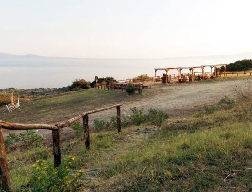 Visit a winery at Ierissos