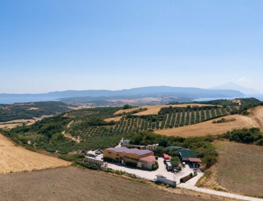 Visit a winery at Ierissos