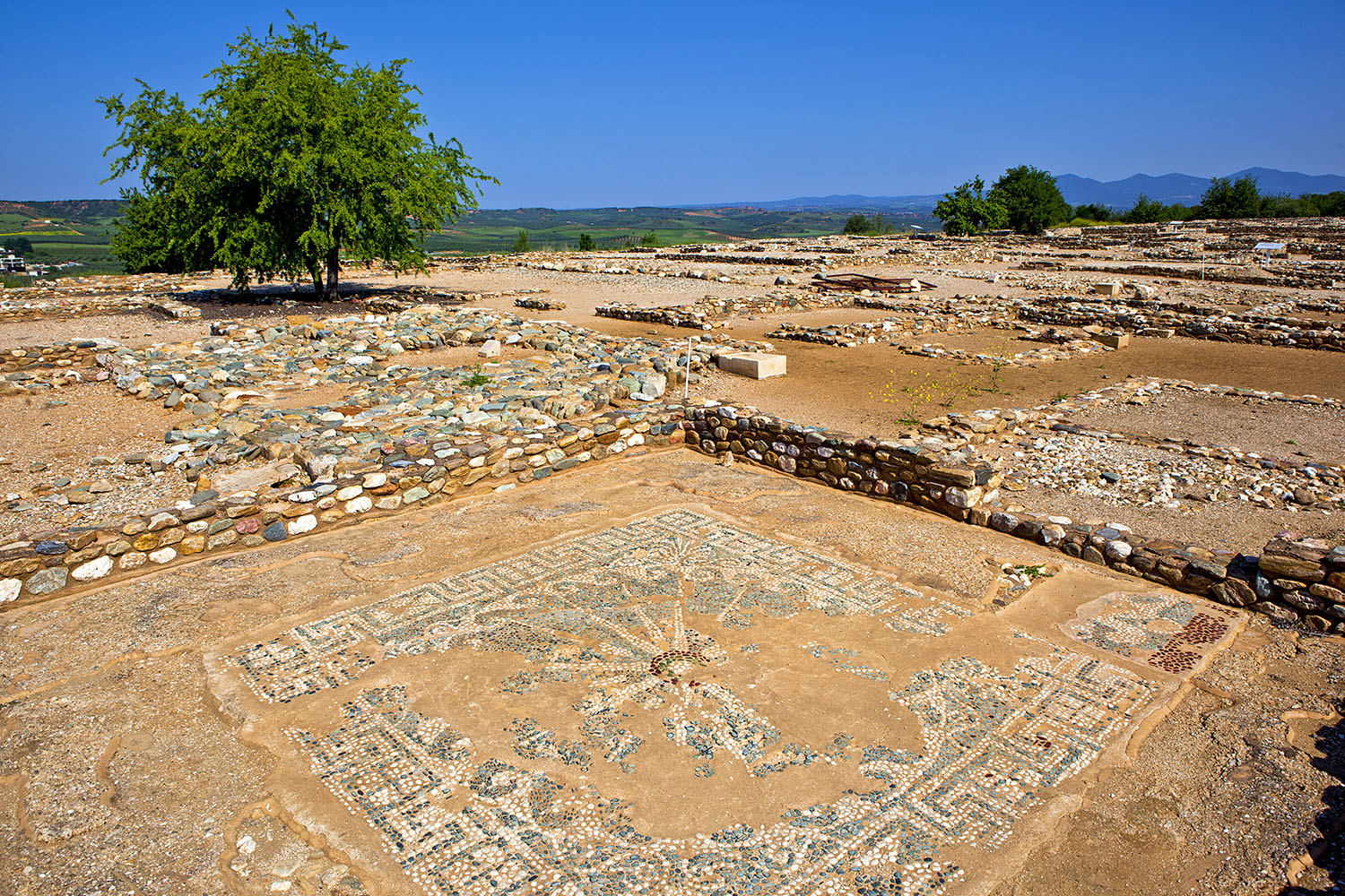 Beautiful well-preserved mosaic at Ancient Olynthos