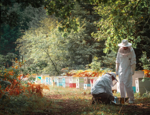 Dressed in a beekeeper costume and extracting honey for a honey hive
