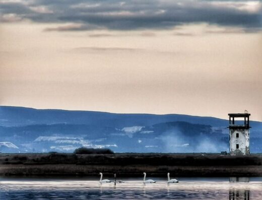 Agios Mamas wetland