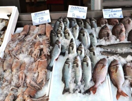 Open Farmer Street Markets