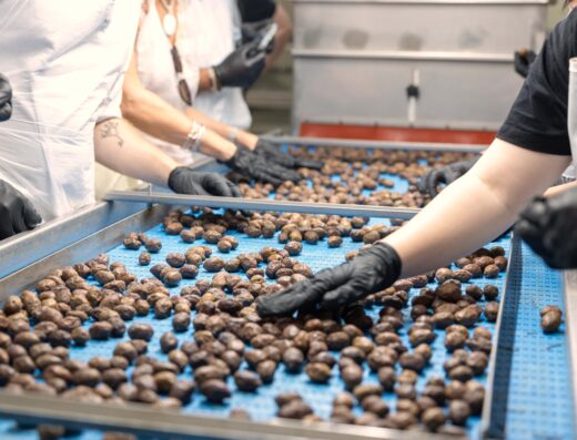 Visit an olive factory in Olynthos
