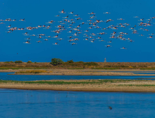 Agios Mamas wetland