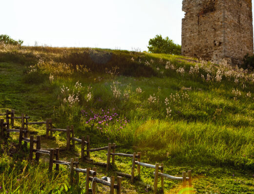 Stavronikita Tower in Sani