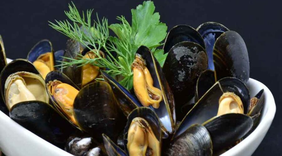 The Olympiada Mussel Feast