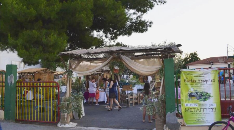 Olive feast in Metagitsi