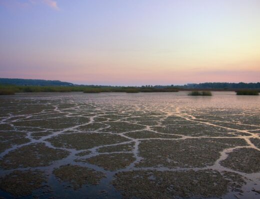 Sani wetland